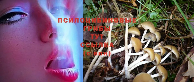 Псилоцибиновые грибы MAGIC MUSHROOMS  Верхнеуральск 